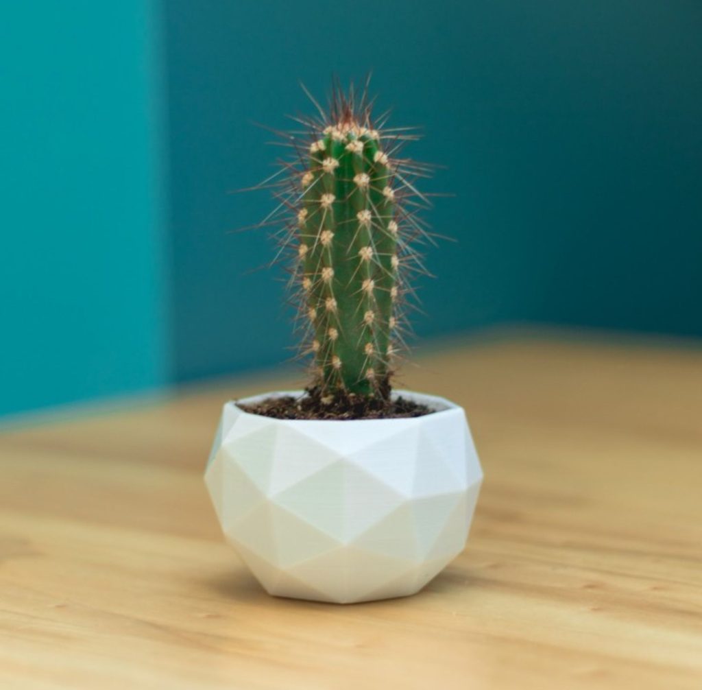 .STL do dia: vaso para plantas